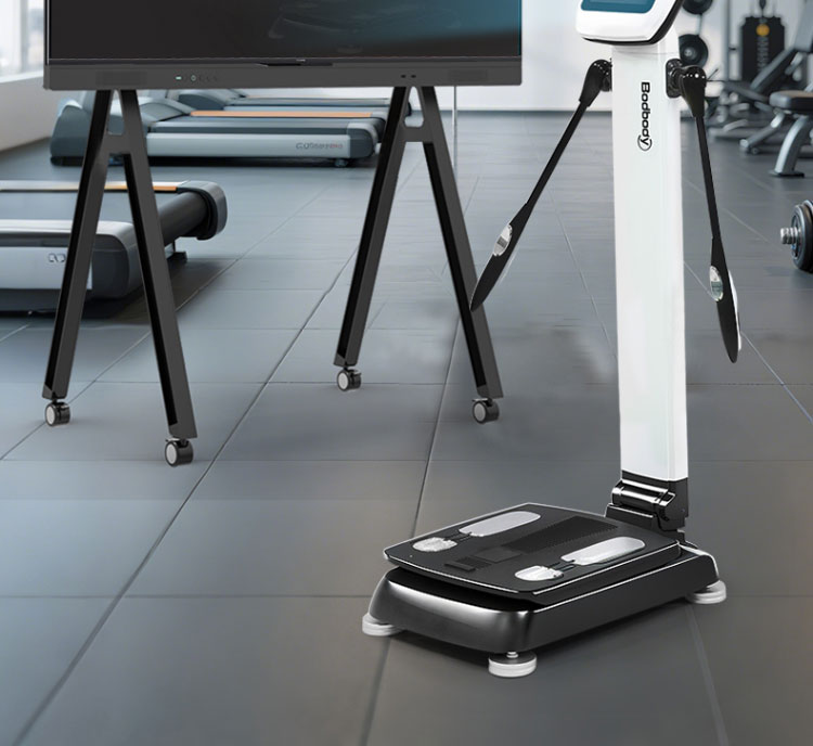 body analysis machine gym17