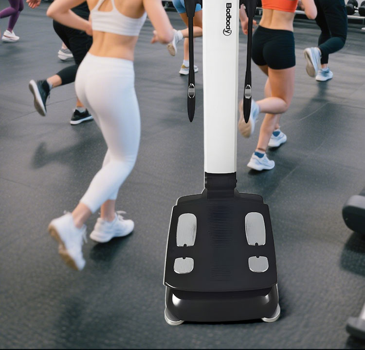 body analysis machine gym19