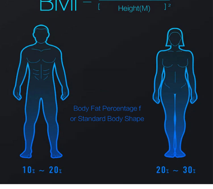 body analysis machine gym27