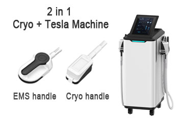 2in1 360 Cryo Teslasculptor Machine