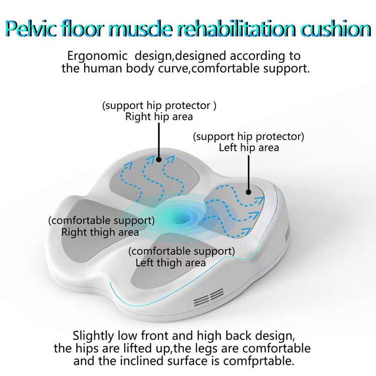 pelvic floor muscle rehabilitation cushion