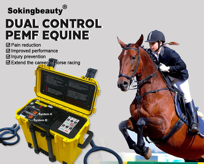 Dual-Channel Equine PEMF Therapy Device
