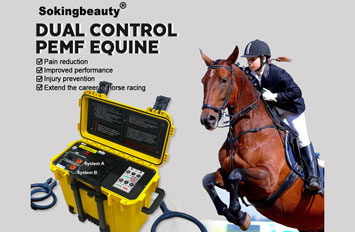 Dual-Channel Equine PEMF Therapy Machine
