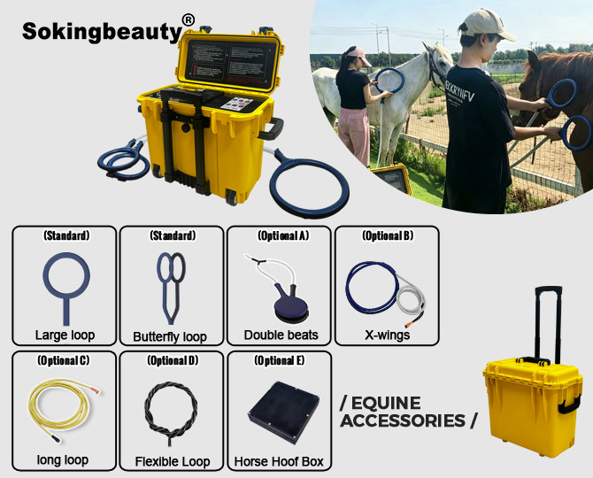 Dual-Channel Equine PEMF Therapy equipment
