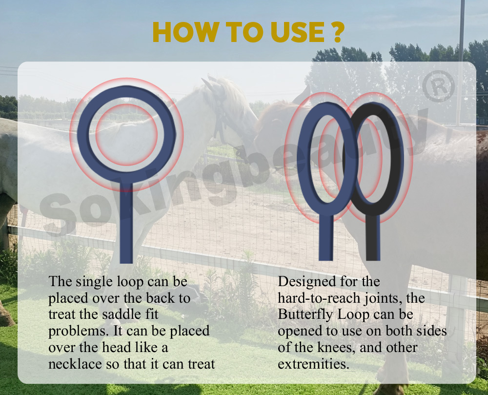Dual control Equine Rehabilitation PEMF Equipment
