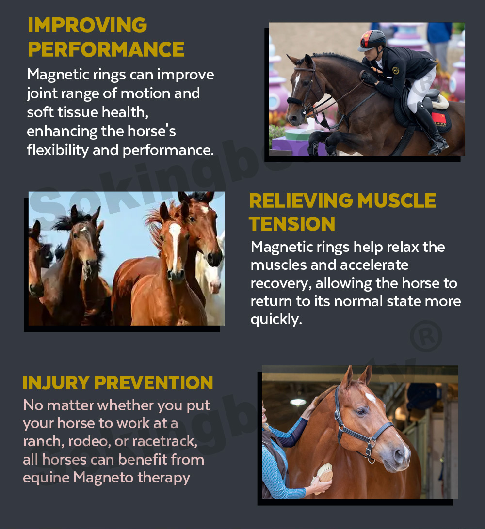 Dual control Equine Rehabilitation PEMF device