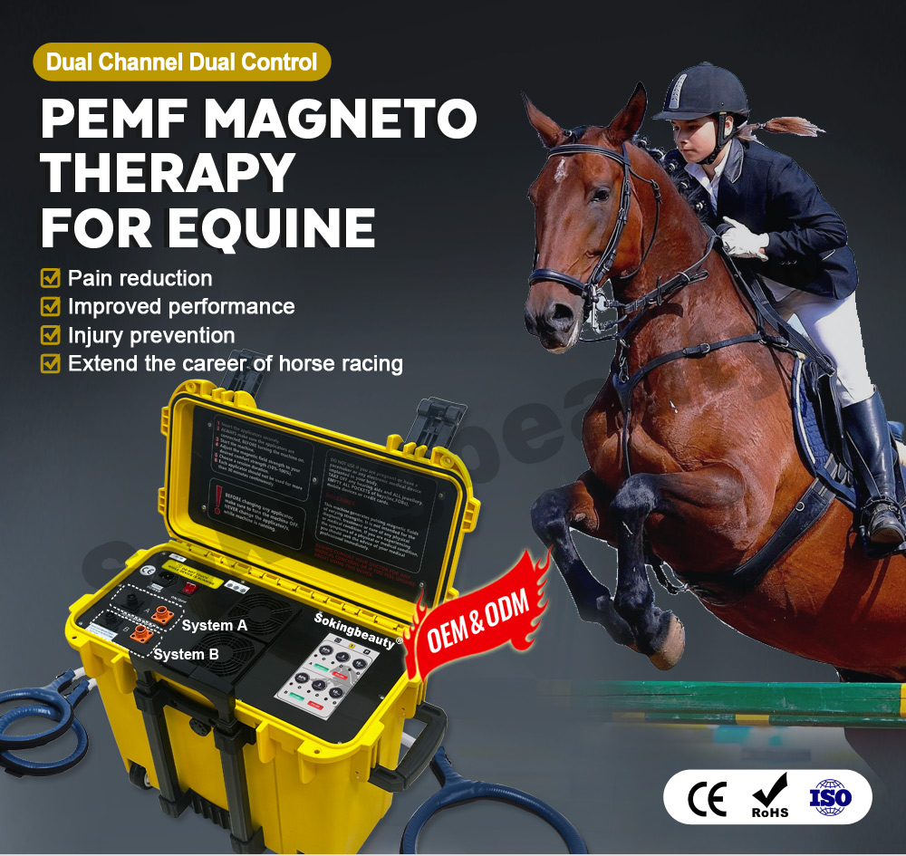 Equine PEMF Magnetotherapy machine