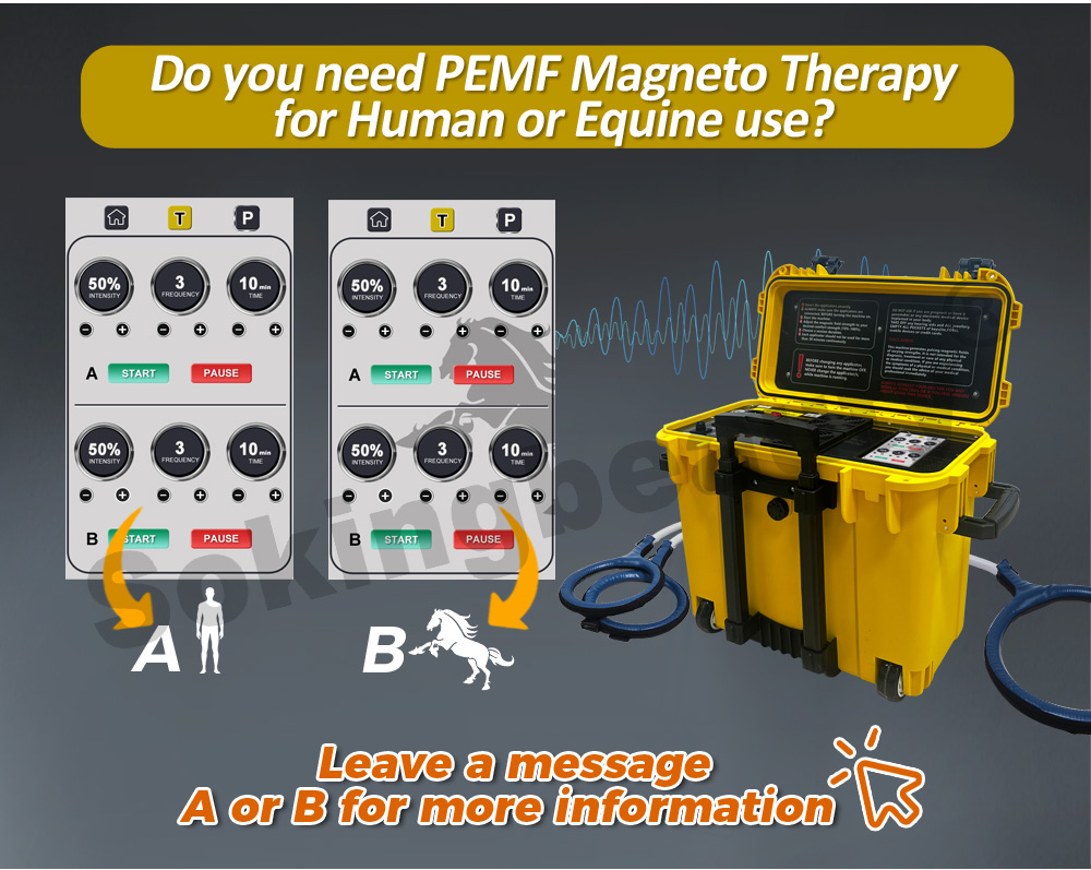 Equine PEMF Recovery Therapy Machine