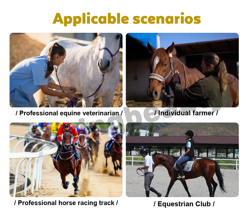 Equine PEMF Recovery Therapy device