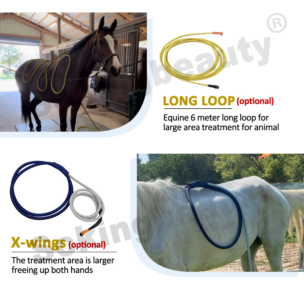 Professional Equine PEMF Therapy device