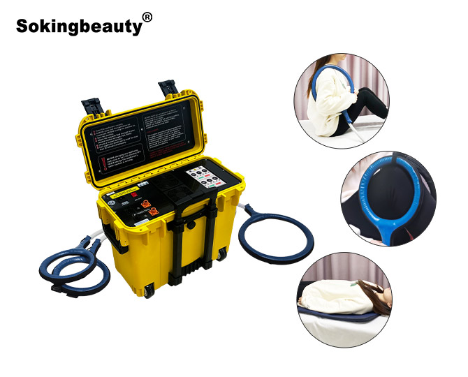 Bin‑Type Dual‑Control PEMF Magnetic device