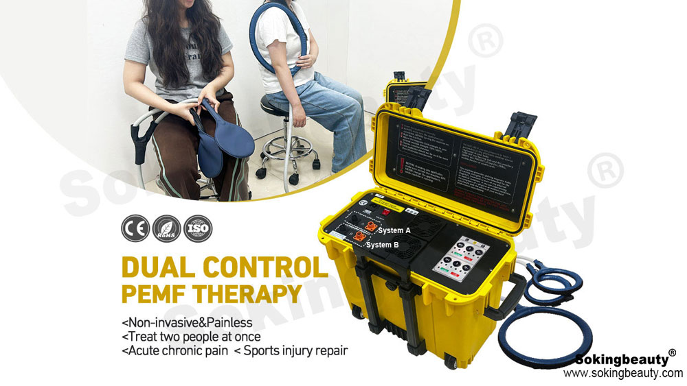 Rugged‑Case Dual‑Control PEMF Magnetic Machine