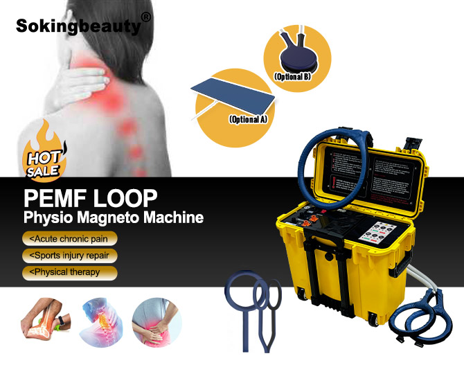 Bin‑Type Dual‑Control PEMF Magnetic equipment