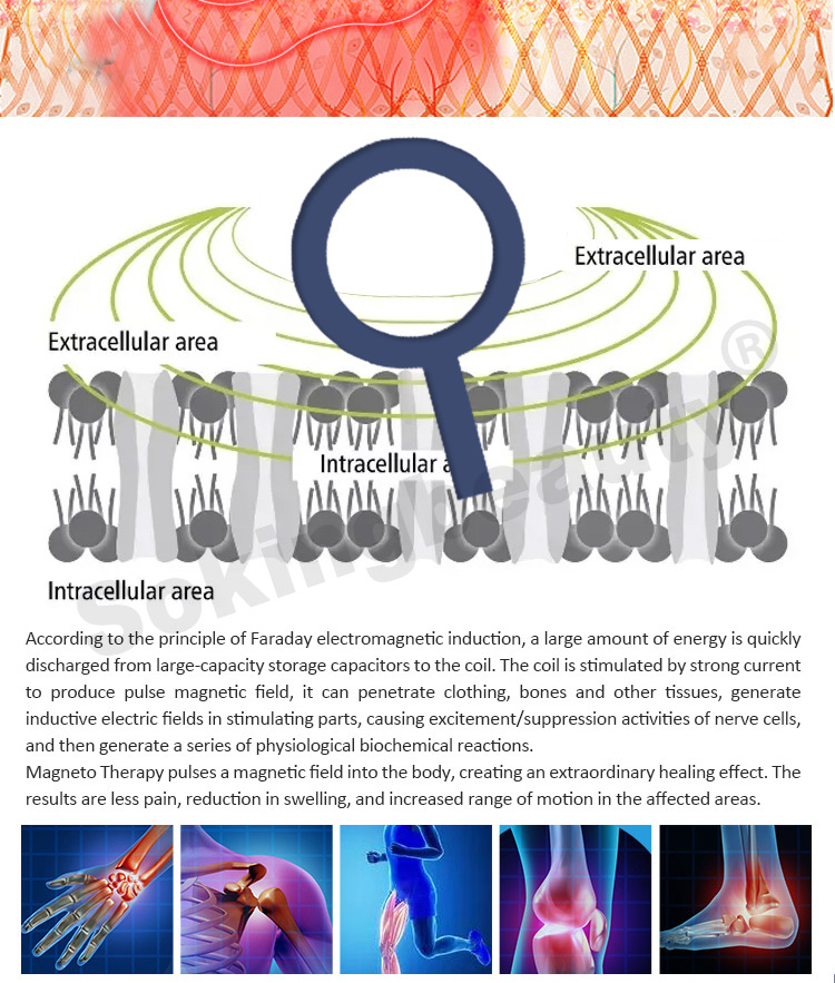 best pemf machines07