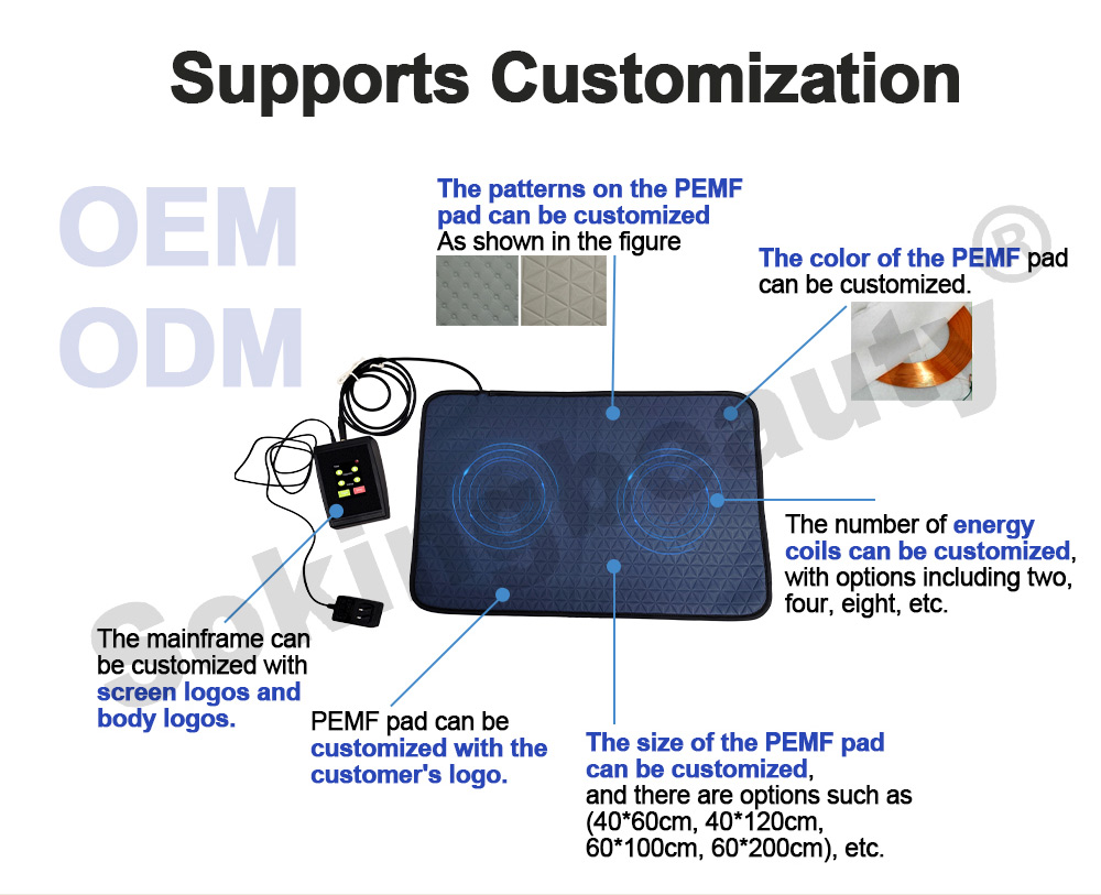 Portable Pulsed Electromagnetic Home equipment