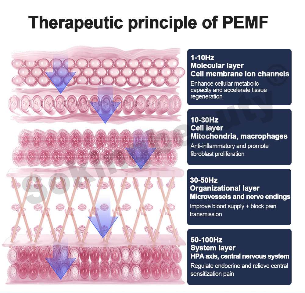 Pemf Magnetic Therapy mat Device 