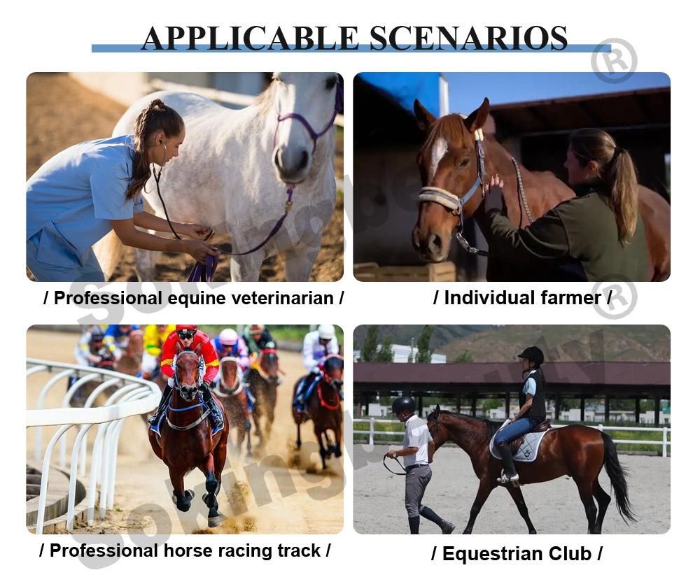 durable pemf device for horse rehabilitation