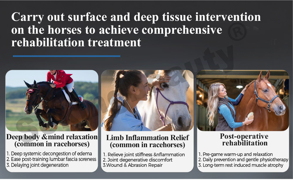 durable pemf equipment for horse rehabilitation