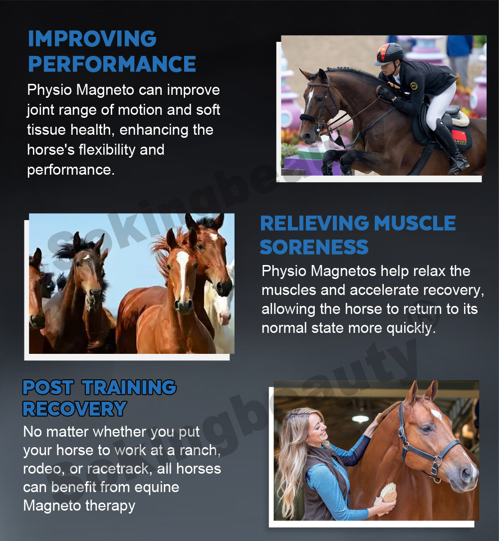 durable pemf machine for horse rehabilitation