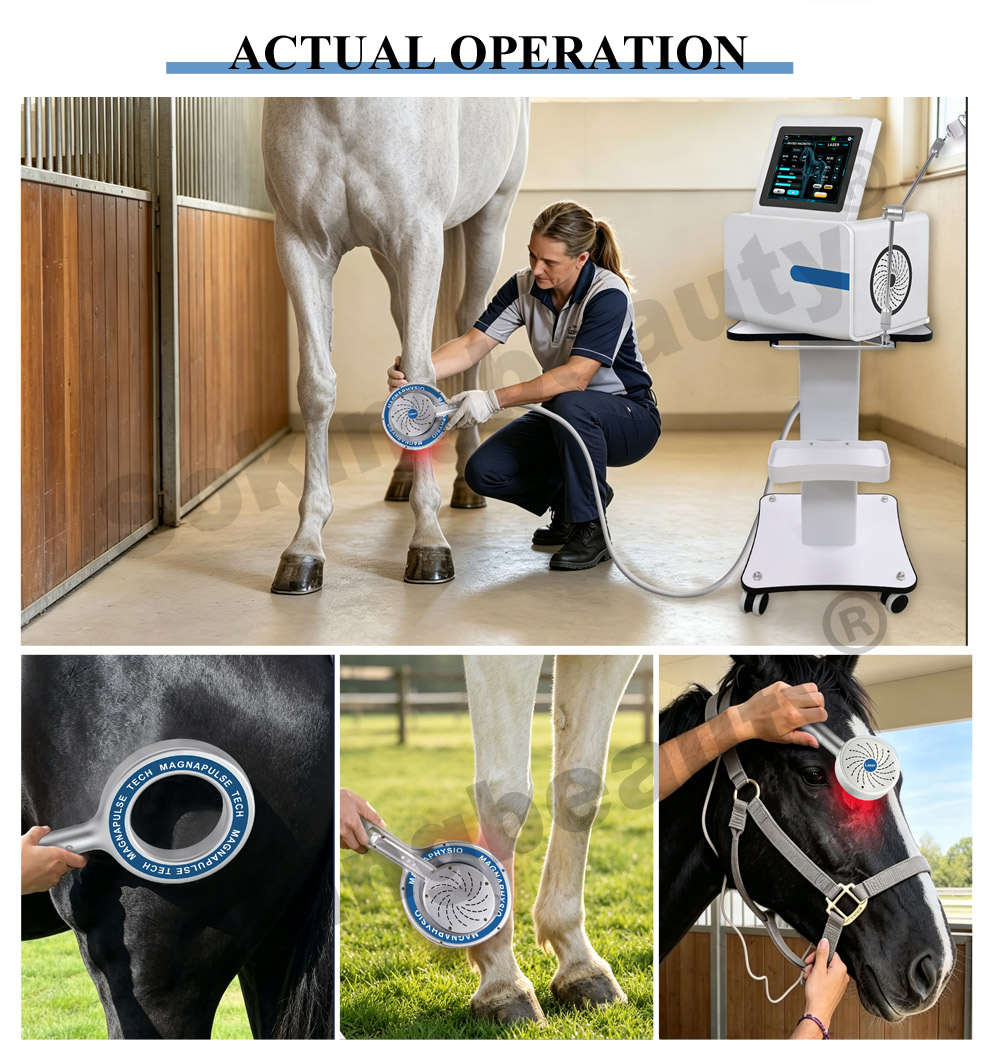 hard casing pemf magnetic machine for horses