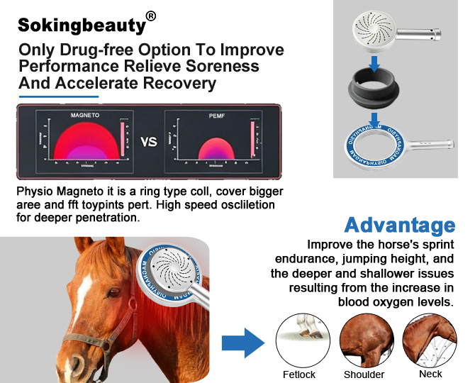 hard‑shell pemf loop device for horse
