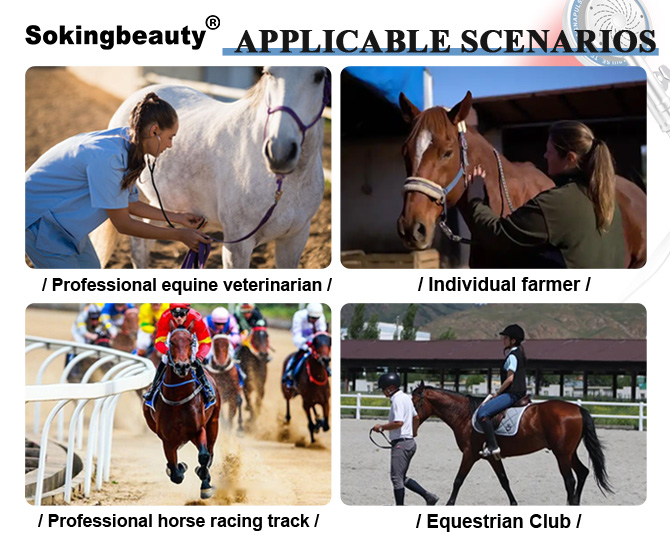 hard‑shell pemf loop equipment for horse