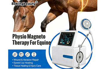 hard‑shell pemf loop machine for horse
