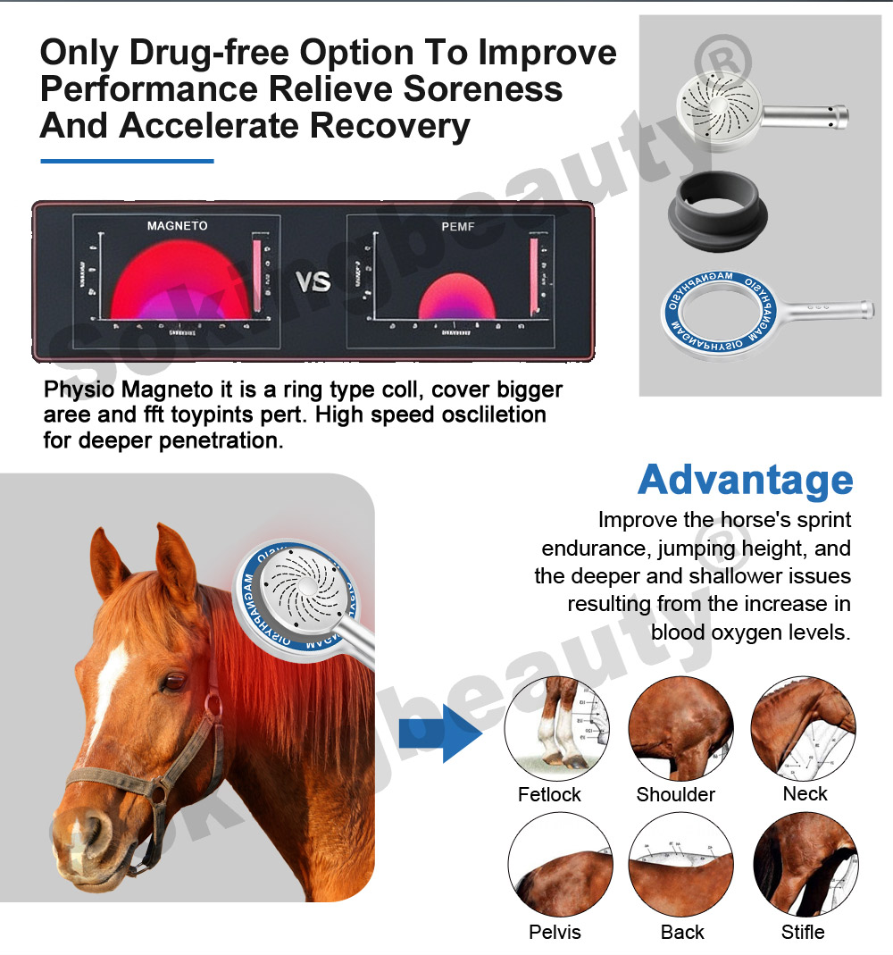 horse pemf recovery machine