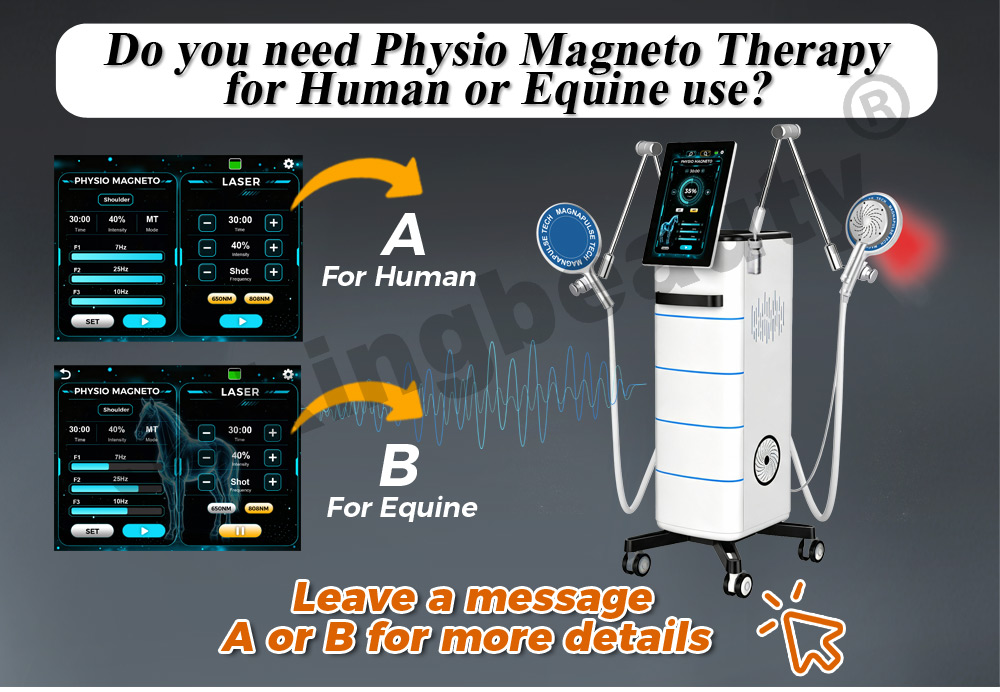 OEM Hard Case Veterinary Standing PEMF equipment