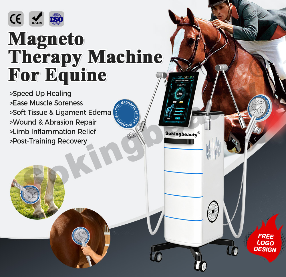 Stable Equine PEMF Magnetic machine