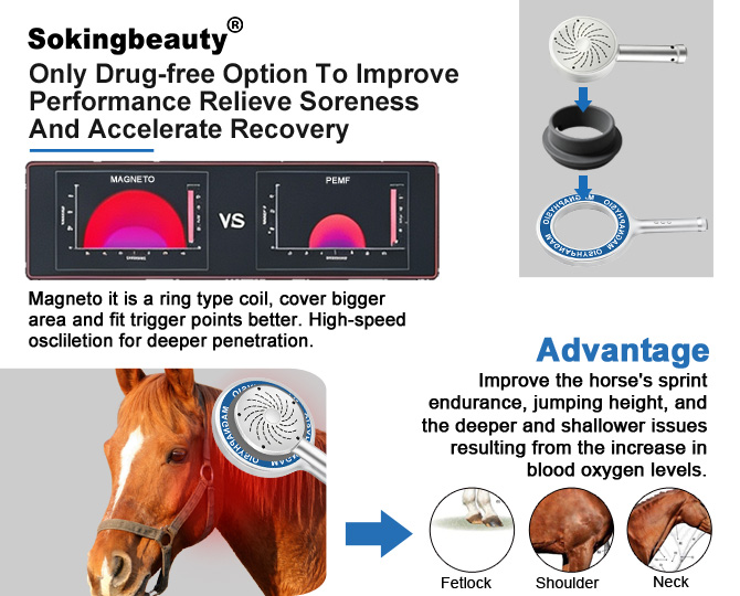 Standing Dual Channel Equine PEMF equipment