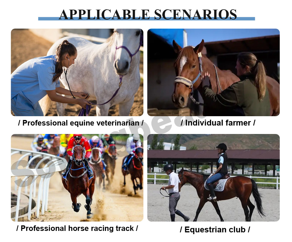 Dual Control PEMF Loop machine for Equine
