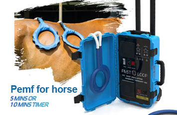 pemf therapy machine for horses