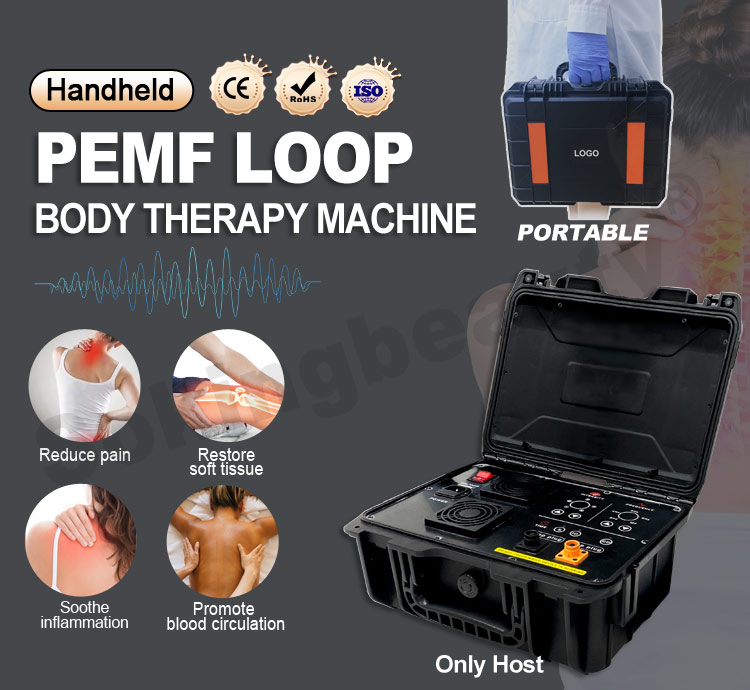 pulsed magnetic field therapy device01