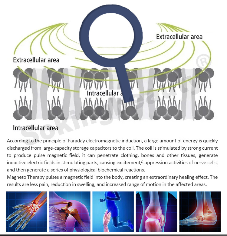 pulsed magnetic field therapy device07