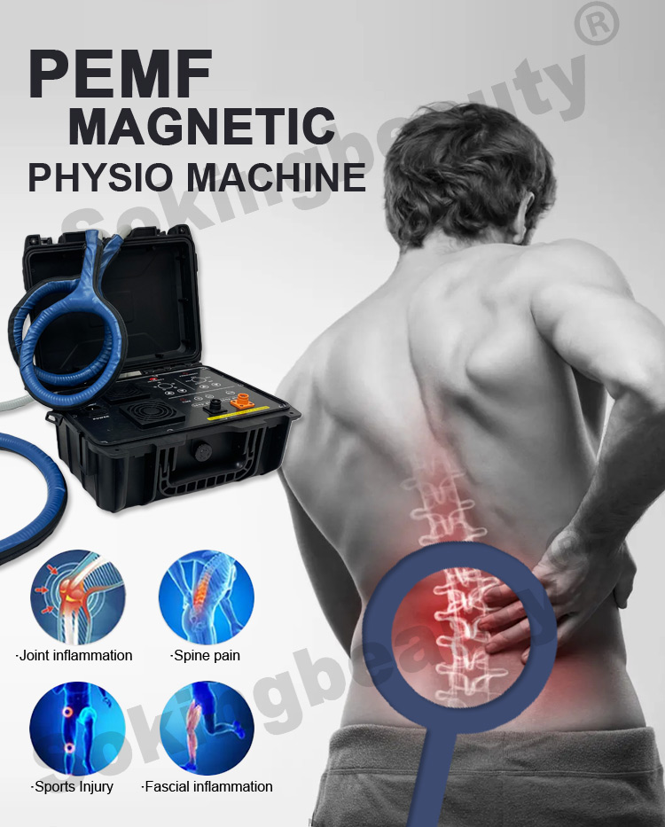 pulsed magnetic field therapy device09