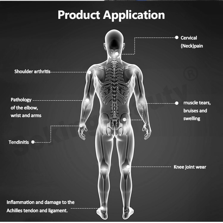 pulsed magnetic field therapy device10