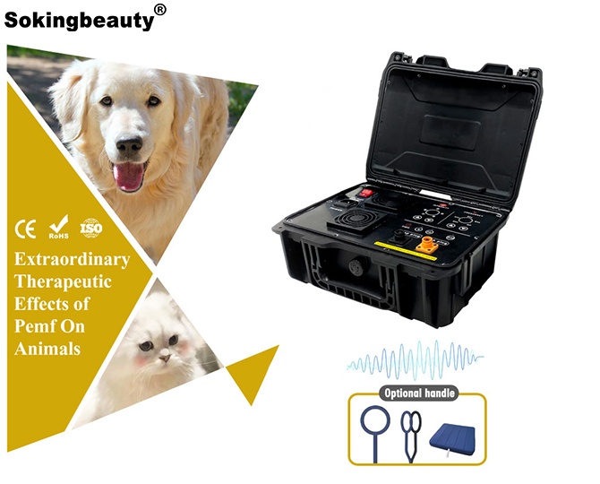 PEMF therapy for animal