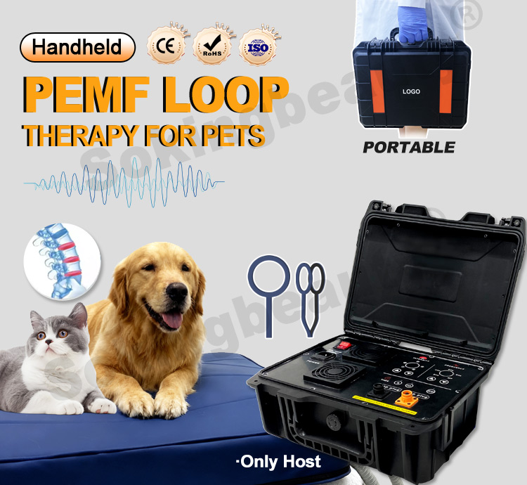 animal magnetic therapy PEMF device01