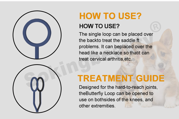 animal magnetic therapy PEMF device03