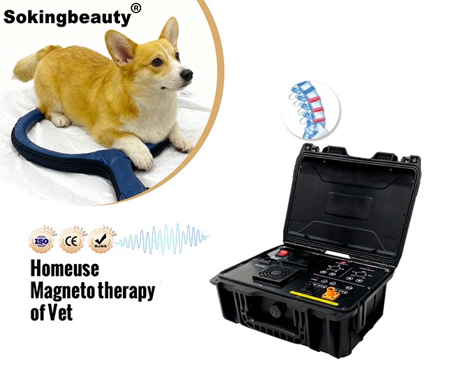 pet PEMF therapy device