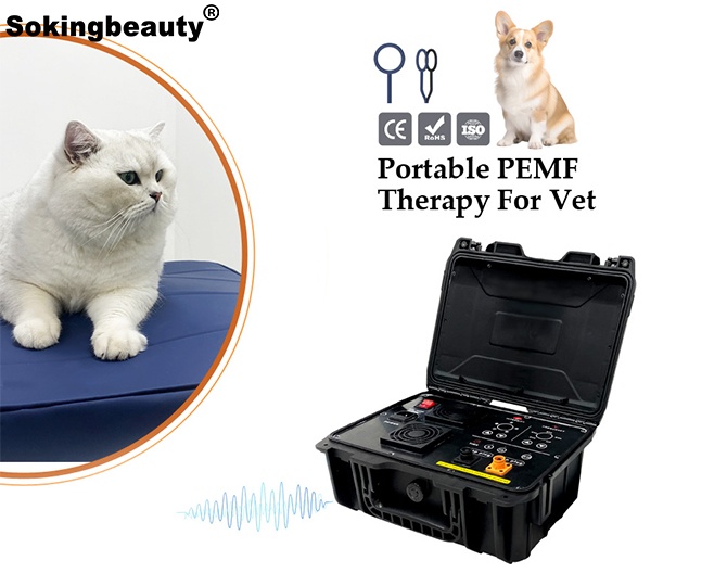 veterinary PEMF machine