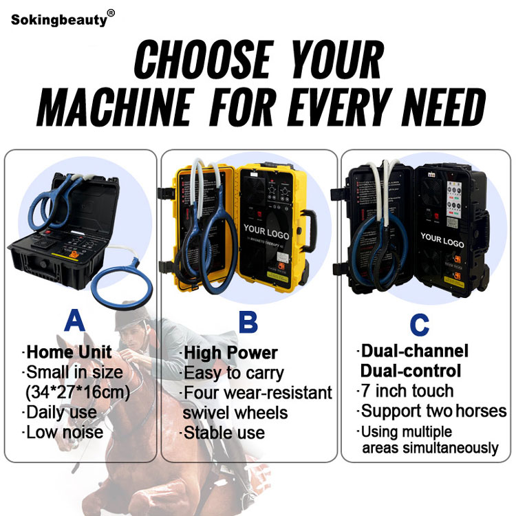 pemf two mat therapy machine