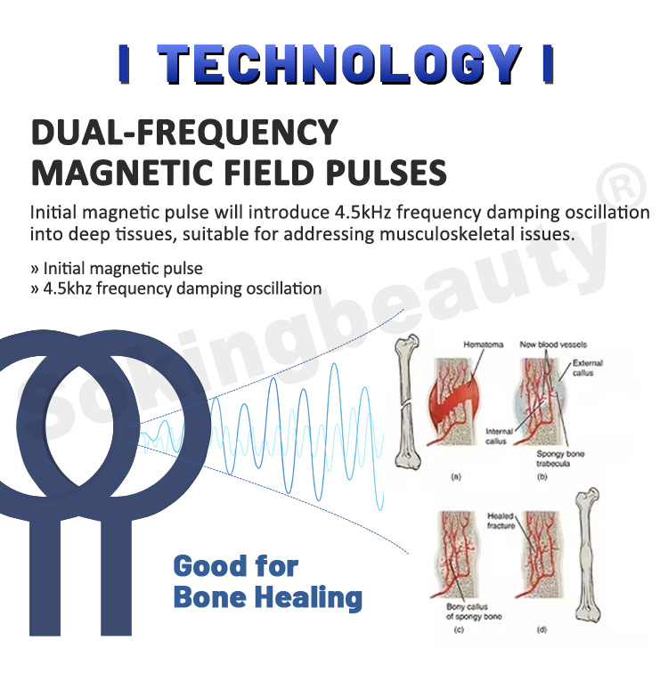 pulsed-electromagnetic-field-device
