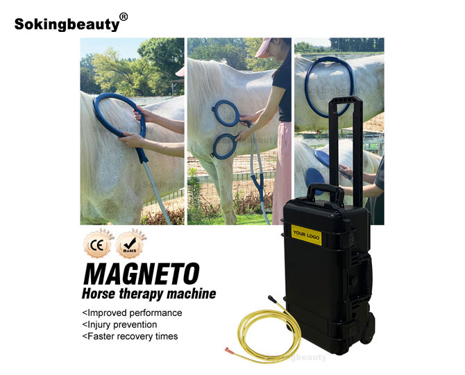 portable pemf device