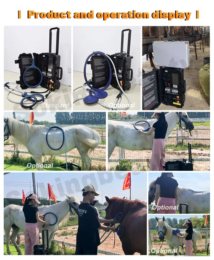 PEMF Therapy Machine