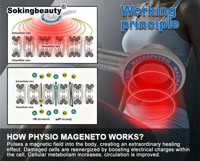 magnetic therapy devices