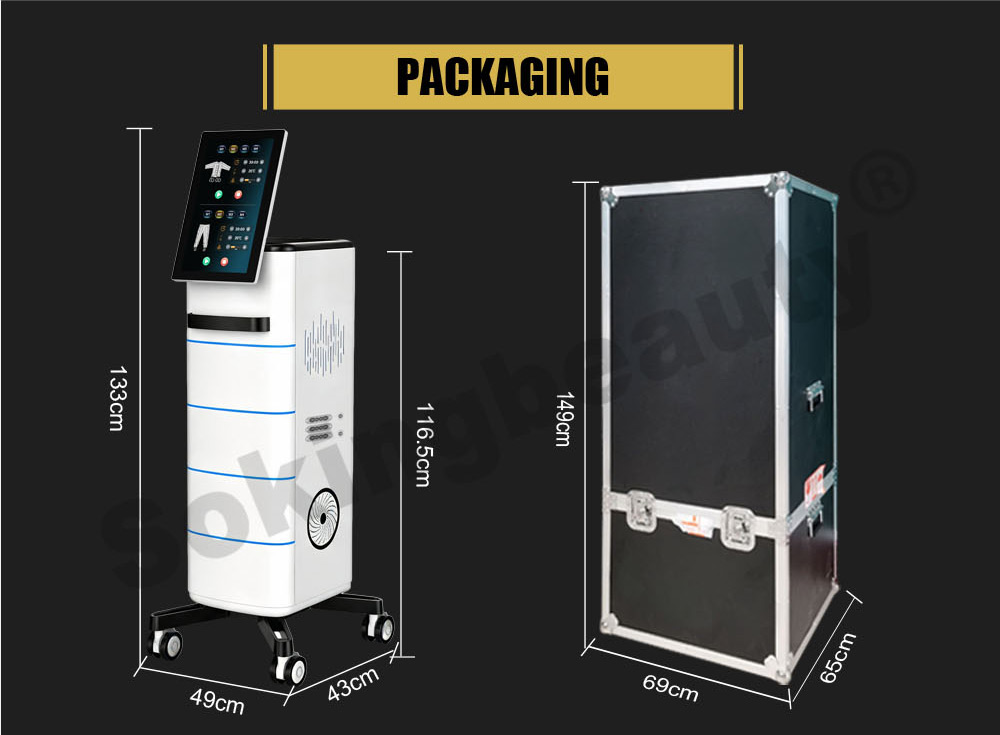 dual control Full‑Body massage Pressotherapy equipment