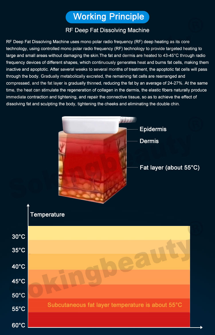 trusculpt flex machine price