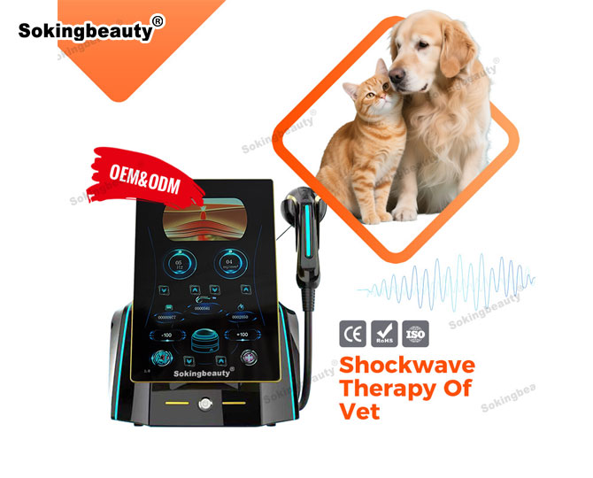 electromagnetic shockwave